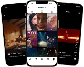 Descarga de Reels de Instagram